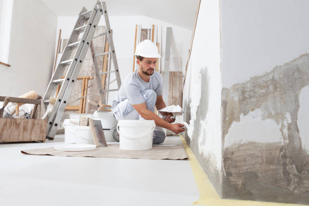 Best Mold Damage Restoration  in Garden City, MO